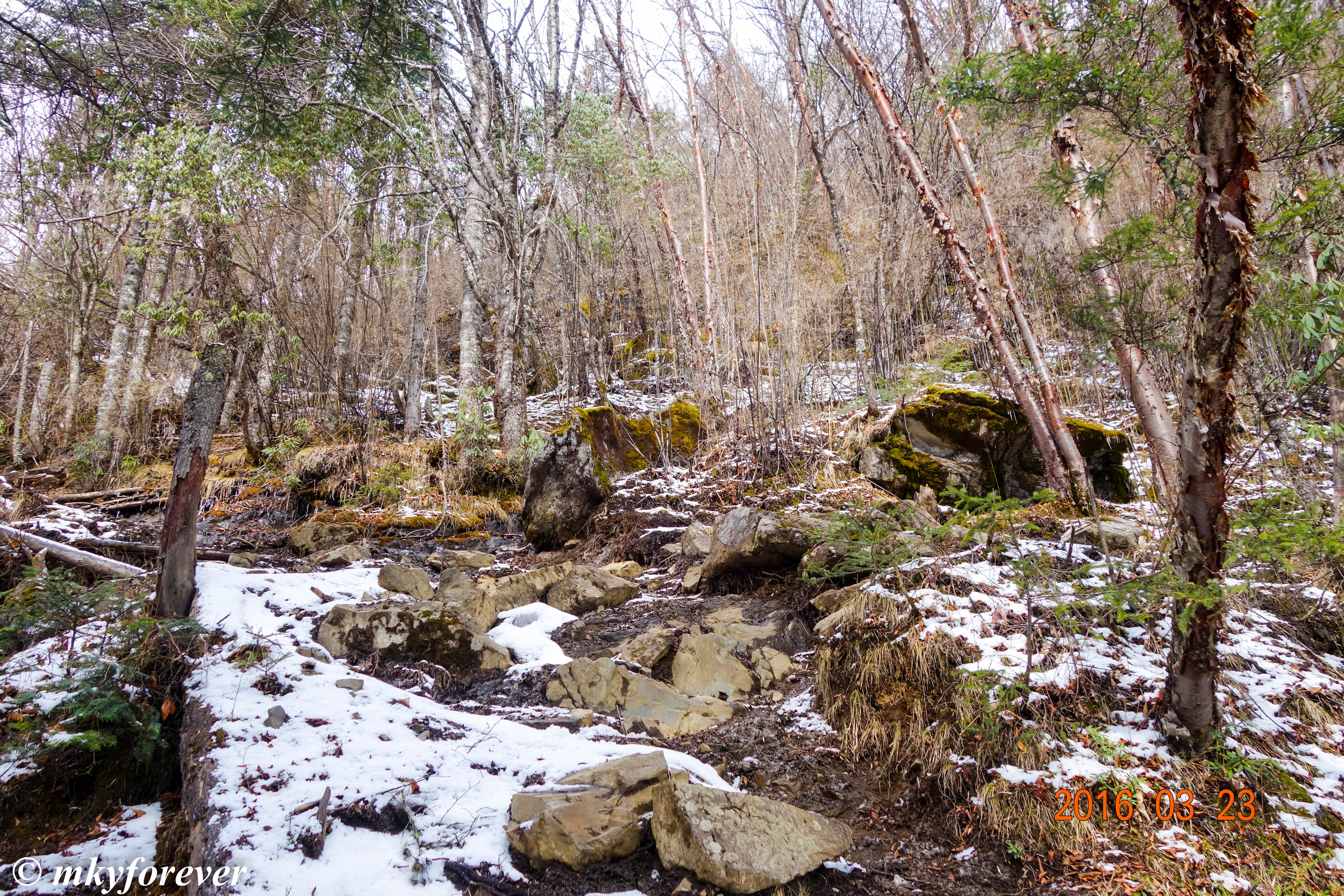 山、路、雪