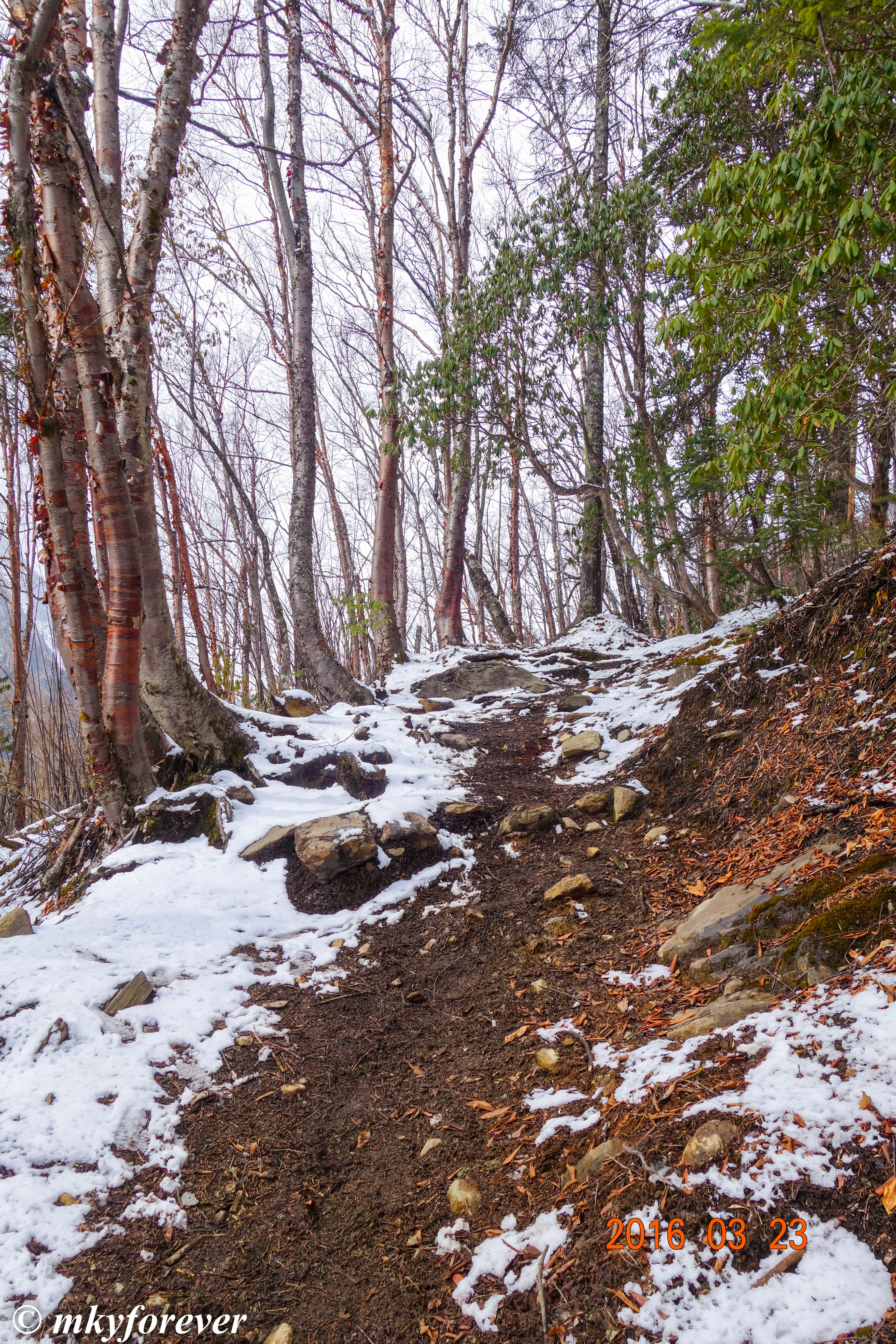 山、雪、路