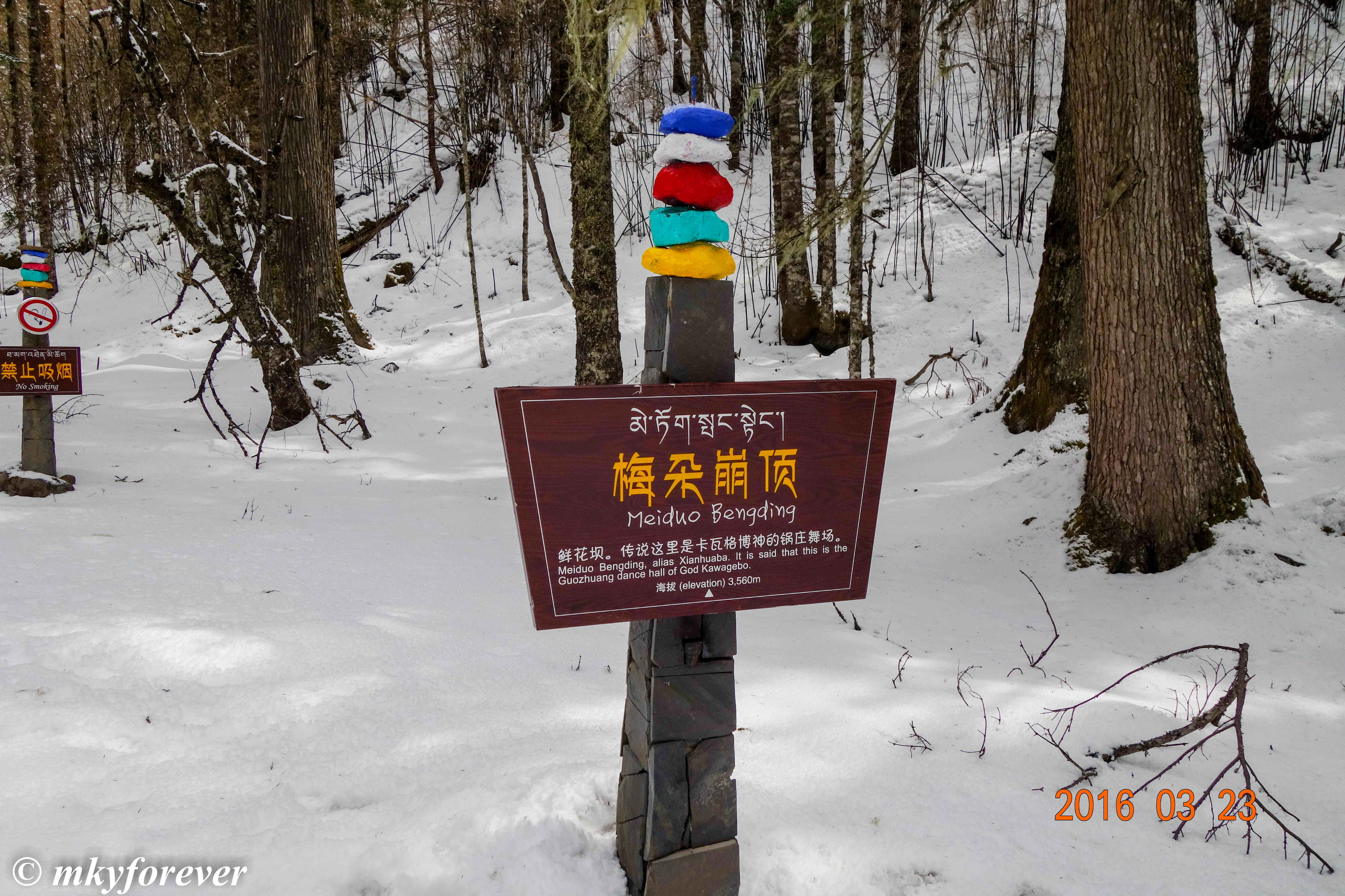 梅朵崩顶