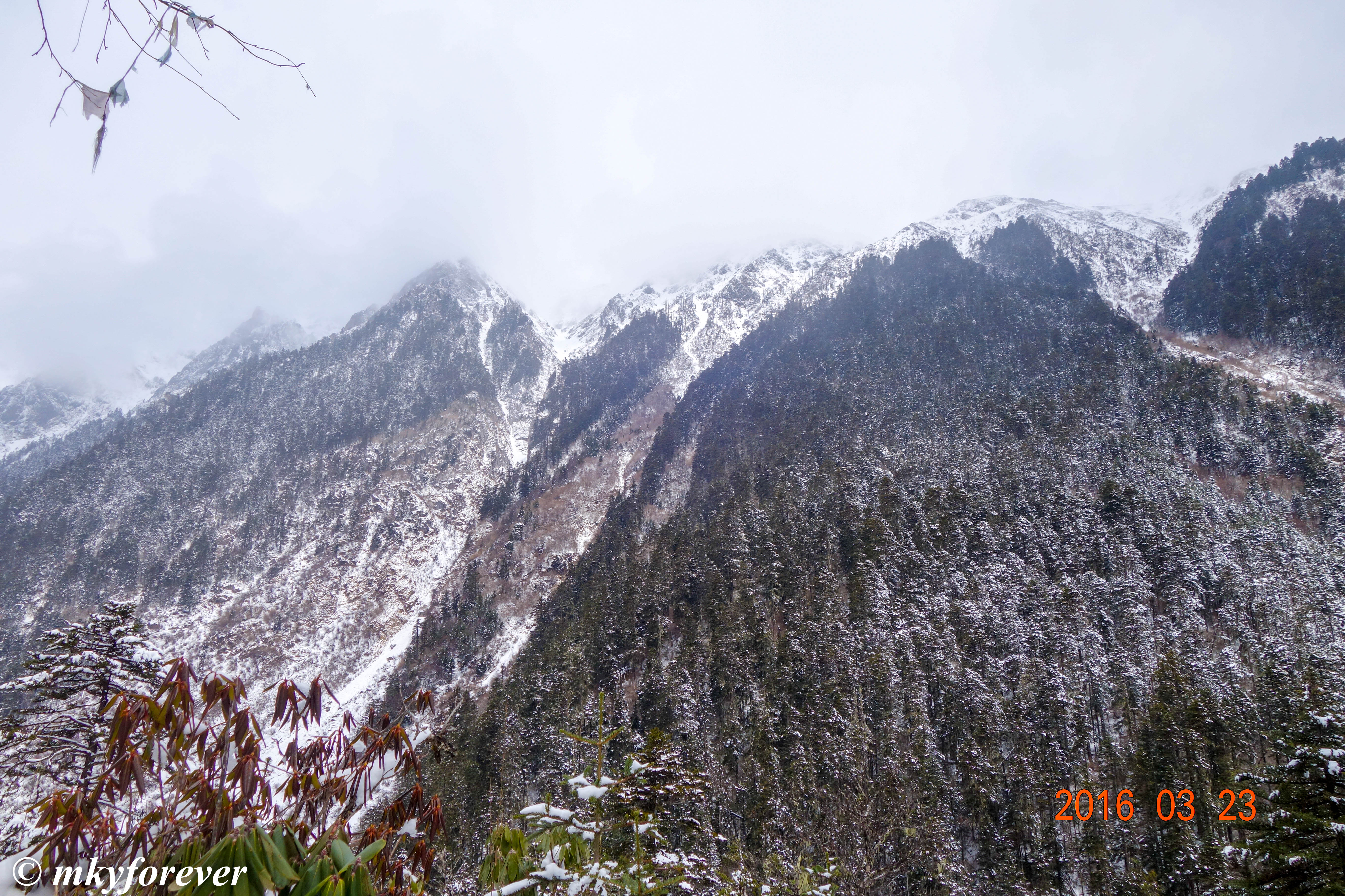 山