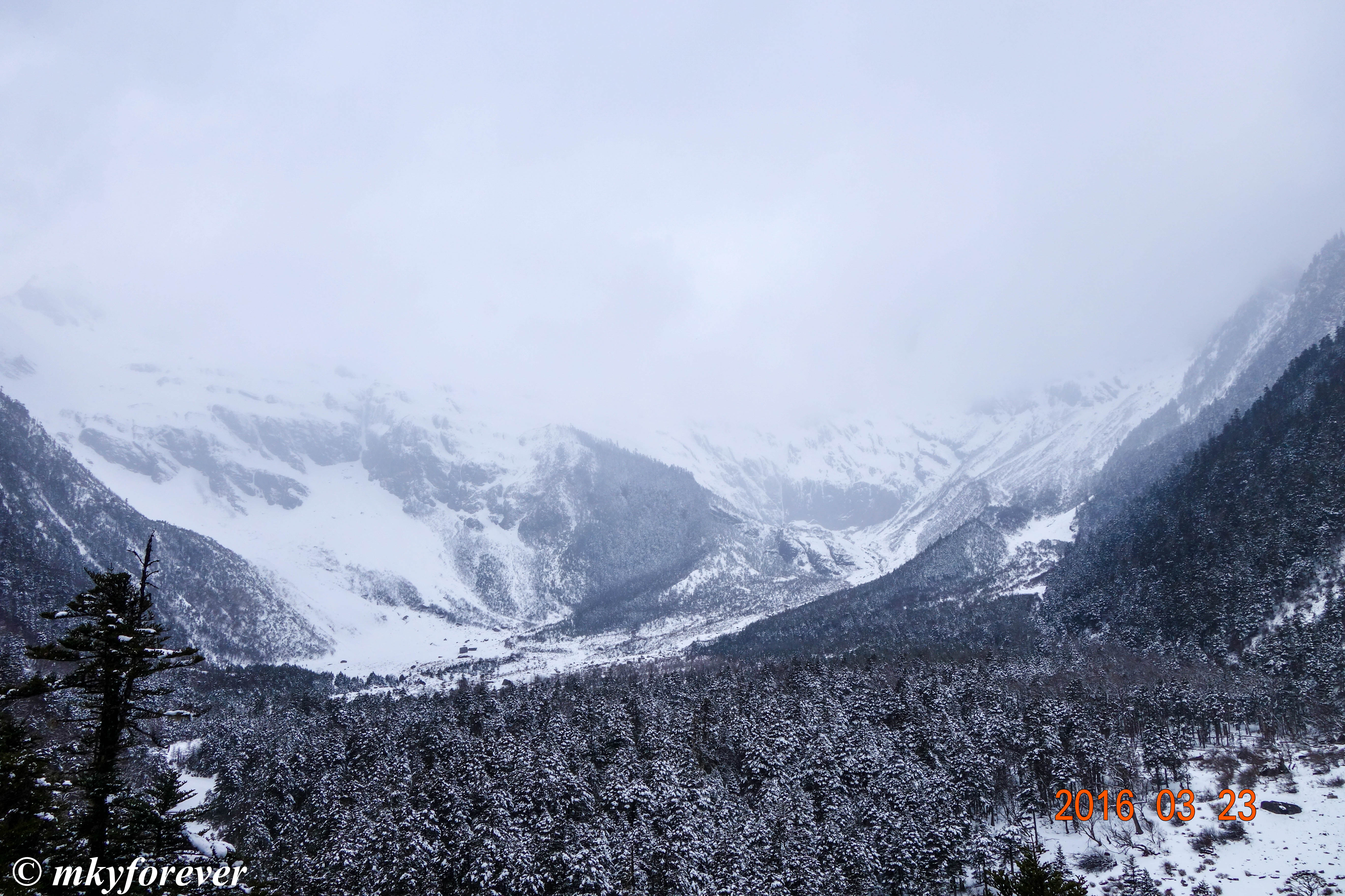 山